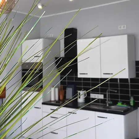 Moderne Bedburg-hau Apartman Hau