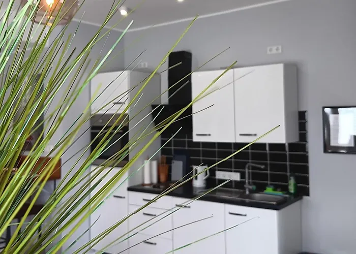 Moderne Bedburg-hau Apartament Hau